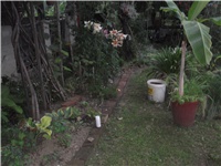 1bfbbb6b-Picture 005.jpg
